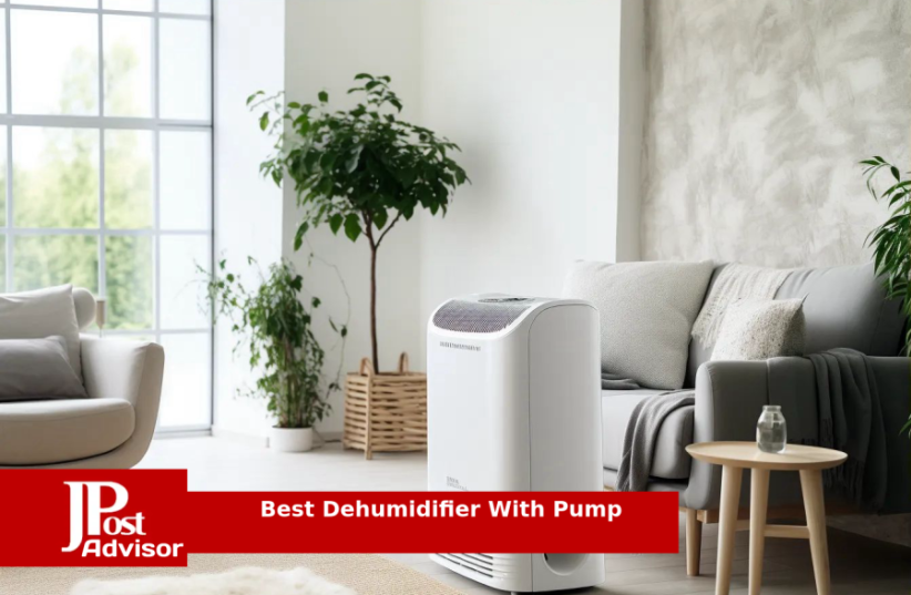 8 Best Dehumidifiers With Pump Review (photo credit: PR)