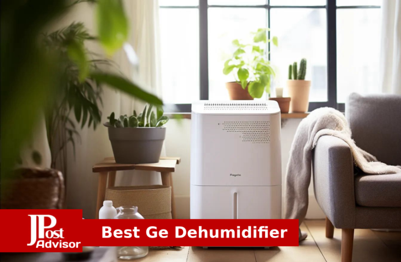  9 Most Popular Ge Dehumidifiers for 2023 (photo credit: PR)