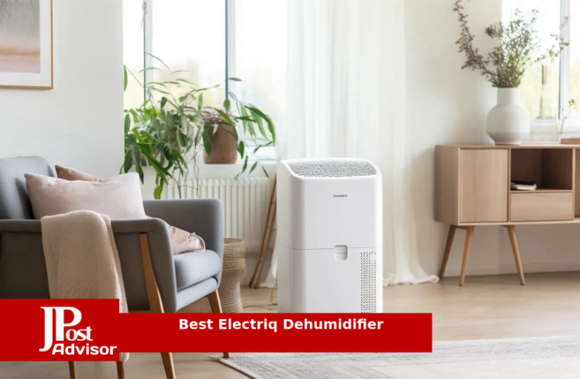  7 Best Electric Dehumidifiers for 2023 (photo credit: PR)