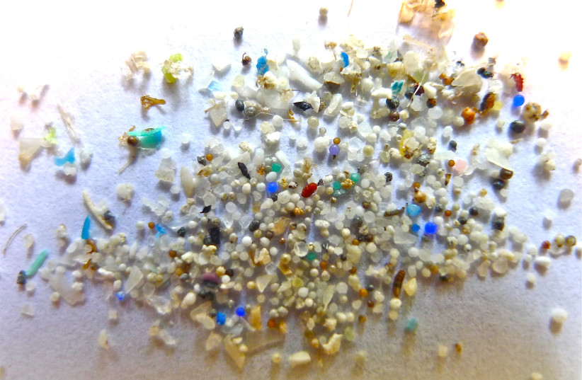  Microplastics are shown on a white background. (photo credit: Wikimedia Commons)