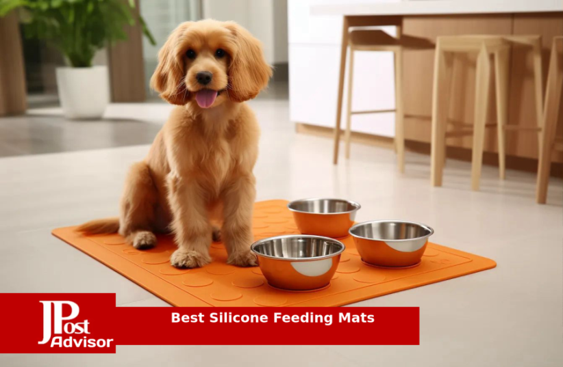  10 Best Silicone Feeding Mats for 2023 (photo credit: PR)
