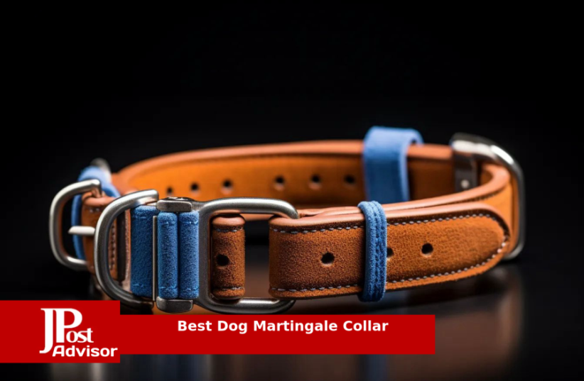  10 Best Dog Martingale Collars for 2023 (photo credit: PR)