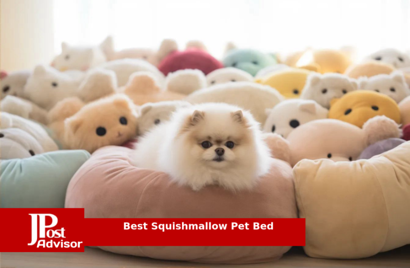  10 Best Squishmallow Pet Beds Review (photo credit: PR)