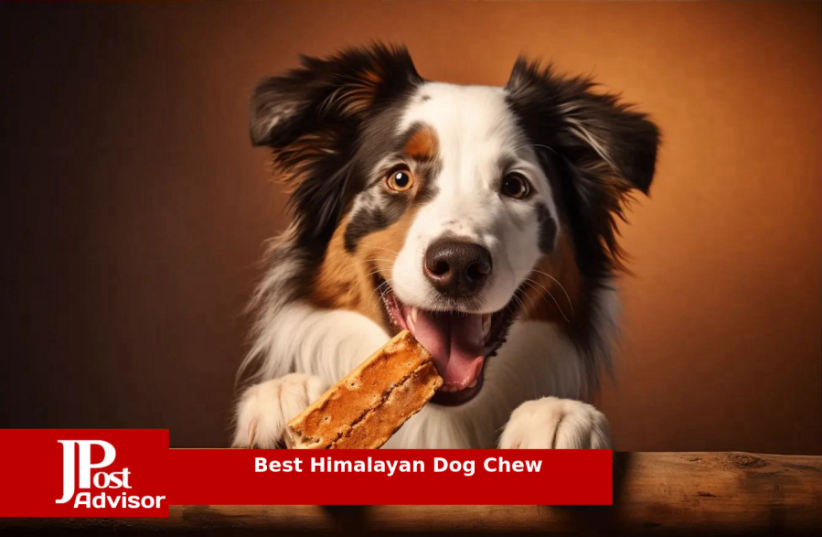  10 Best Himalayan Dog Chews for 2023 (photo credit: PR)