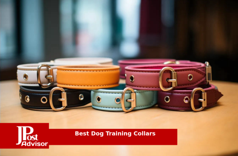  10 Top Selling Best Dog Training Collars for 2023 (photo credit: PR)