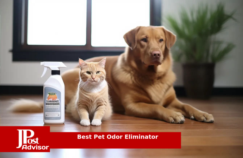  10 Best Pet Odor Eliminators for 2023 (photo credit: PR)