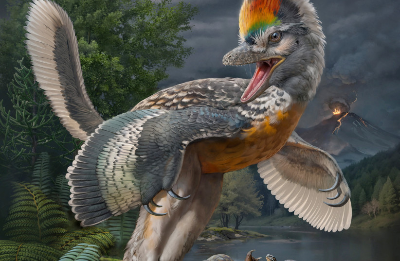  A life reconstruction of the bird-like dinosaur Fujianvenator prodigiosus, which lived 148 million to 150 million years ago in China, is seen in this illustration. (photo credit: Chuang Zhao/Handout via REUTERS )