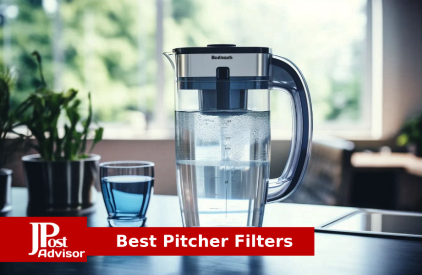   10 Most Popular Pitcher Filters for 2023 (photo credit: PR)