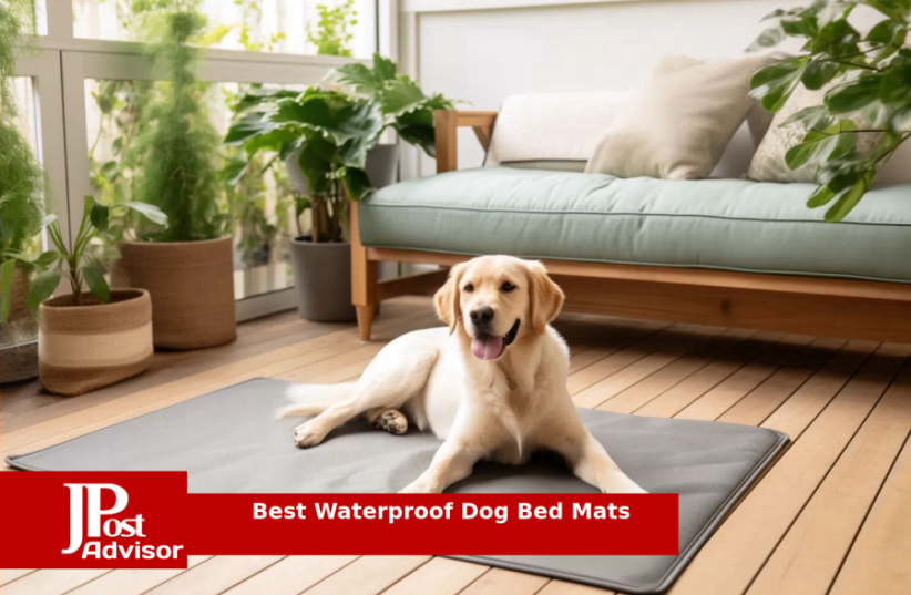  10 Most popular Waterproof Dog Bed Mats for 2023 (photo credit: PR)