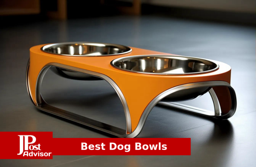  10 Best Dog Bowls Review (photo credit: PR)