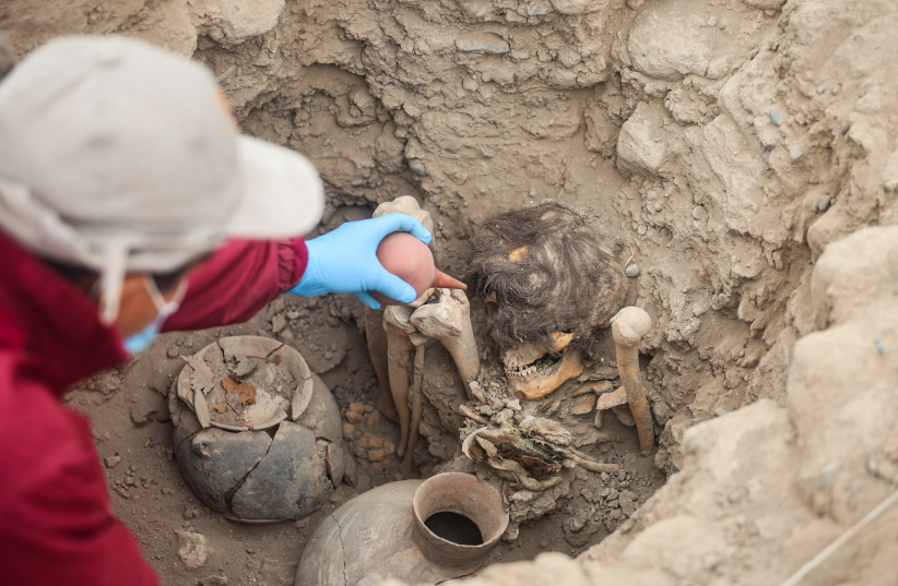 An archaeologist works on a site where a 1,000-year-old mummy was unearthed, at a residential neighbourhood, in Lima, Peru September 6, 2023. (photo credit: SEBASTIAN CASTANEDA/REUTERS)