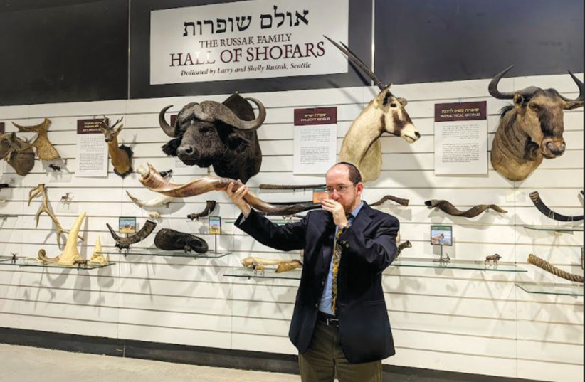  RABBI DR. NATAN SLIFKIN blows one of his shofars at the Biblical Museum of Natural History in Beit Shemesh.  (photo credit: Biblical Museum of Natural History)