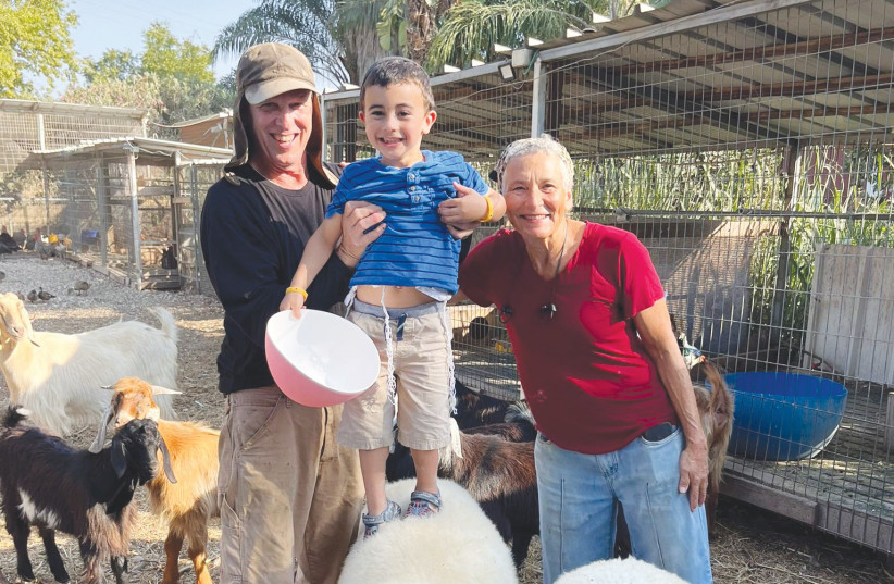  DR. TZVI (L) & SUE MUSLOW flank grandson Amit Mazon, atop one of their sheep. (photo credit: Courtesy Muslow family)