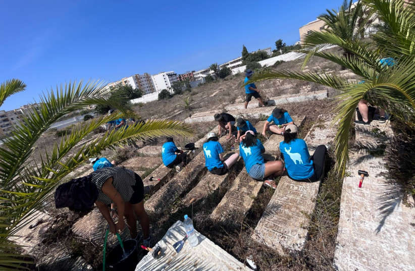  Eyalim volunteers work to restore Jewish graves at Sale, Morocco's Jewish cemetery. (photo credit: Eyalim)