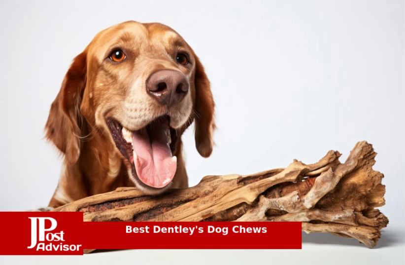  10 Most Popular Dentley's Dog Chews for 2023 (photo credit: PR)