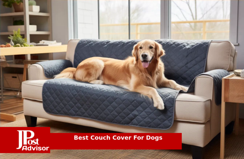  10 Best Couch Covers For Dogs Review (photo credit: PR)