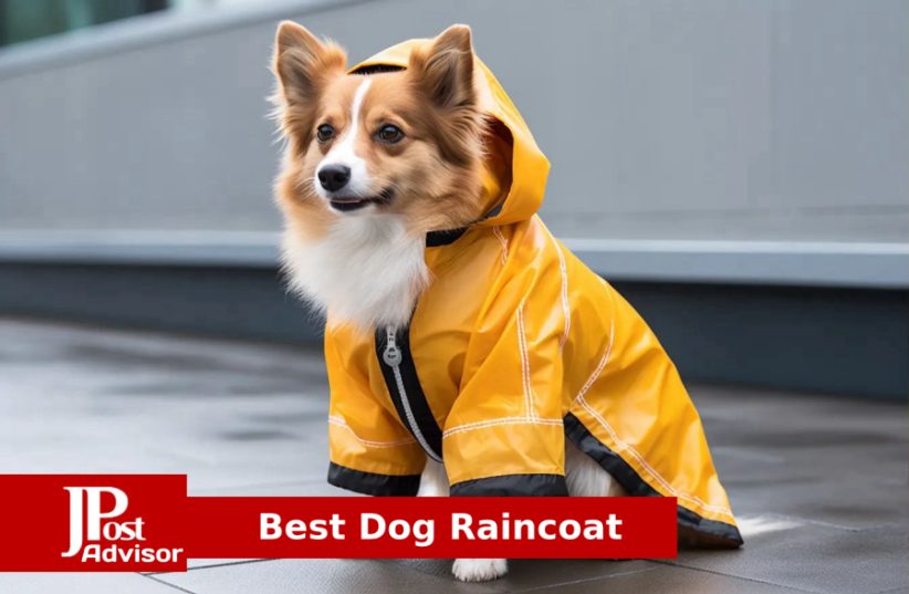 10 Most Popular  Dog Raincoats for 2023 (photo credit: PR)