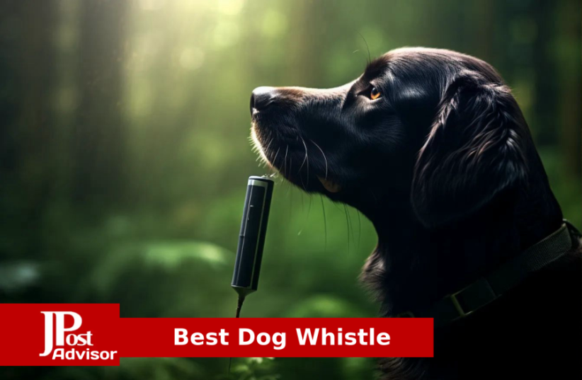  10 Top Selling  Dog Whistles for 2023 (photo credit: PR)