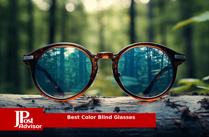  10 Best Color Blind Glasses Review (photo credit: PR)