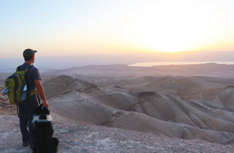  A TRIP INTO Israel’s nature can connect a person to ancient aspects of the Jewish holiday celebrations.  (photo credit: Susannah Childs)