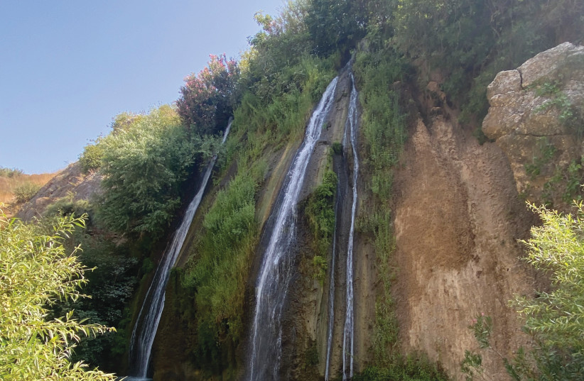  NATURE LOVERS will enjoy Ayun Stream Nature Reserve and its waterfalls. (photo credit: LAUREN GUMPORT)