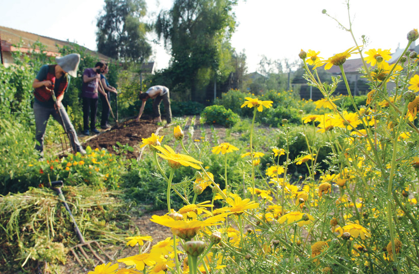  WORKING THE land at the Shvuat Ha’adama community in Beersheba. (photo credit: Courtesy)