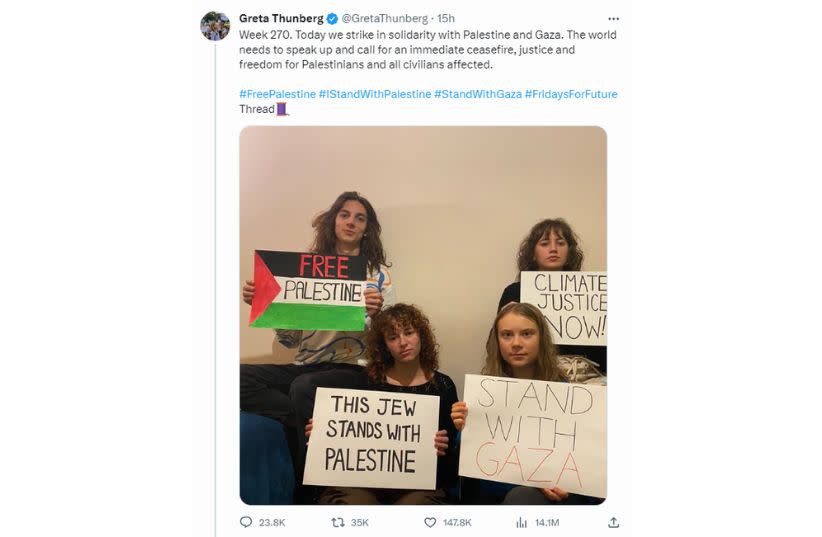  Greta Thunberg posts pro-Hamas message on X (photo credit: screenshot)