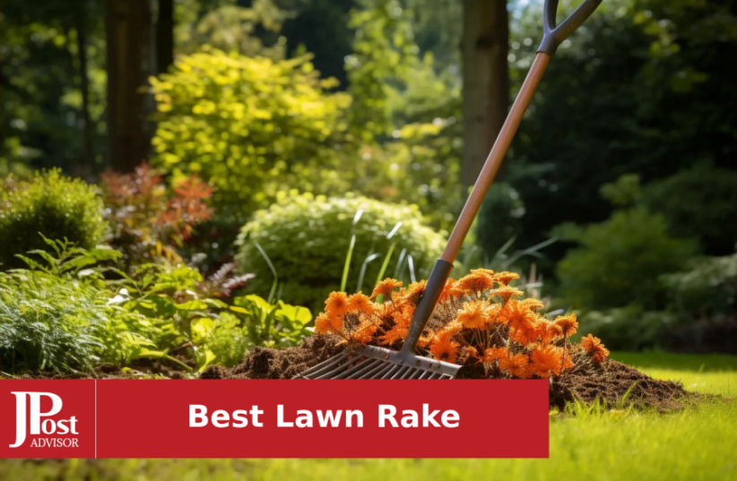10 Best Selling Lawn Rakes for 2023 - The Jerusalem Post