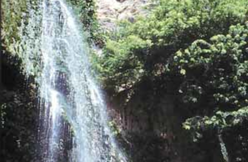 ein gedi waterfall298.88 (photo credit: )