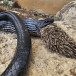  A snake and porcupine both die after the snake's failed attempt to eat the porcupine.