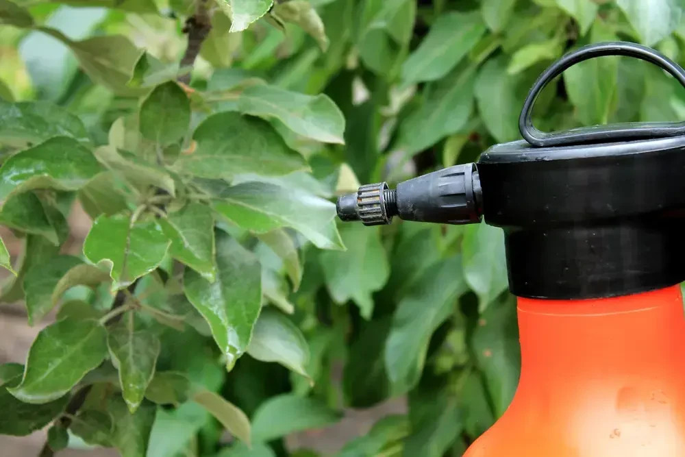 We want to encourage the consumption of fruits and vegetables, but these very foods may be a significant source of exposure to pesticide residues