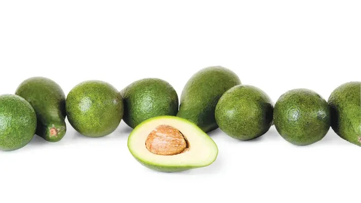Avocado
