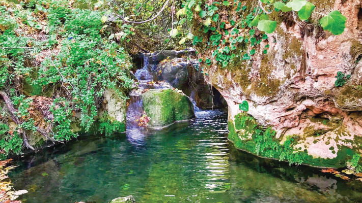 Nahal Amud Nature Reserve. (credit: Mokhi Nassar, Israel Nature and Parks Authority)