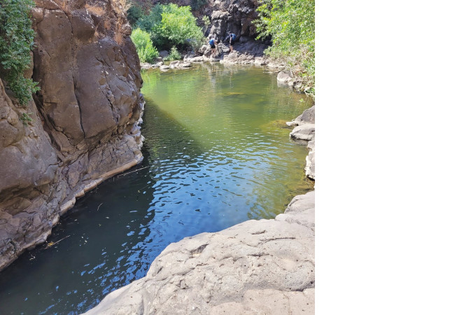 Yehudiya Nature Reserve – Lower Zavitan.
