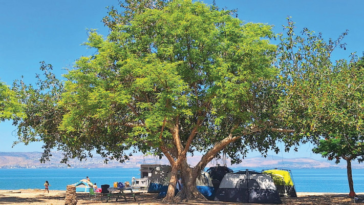 Kursi-Lavnun-Halukim Beach.