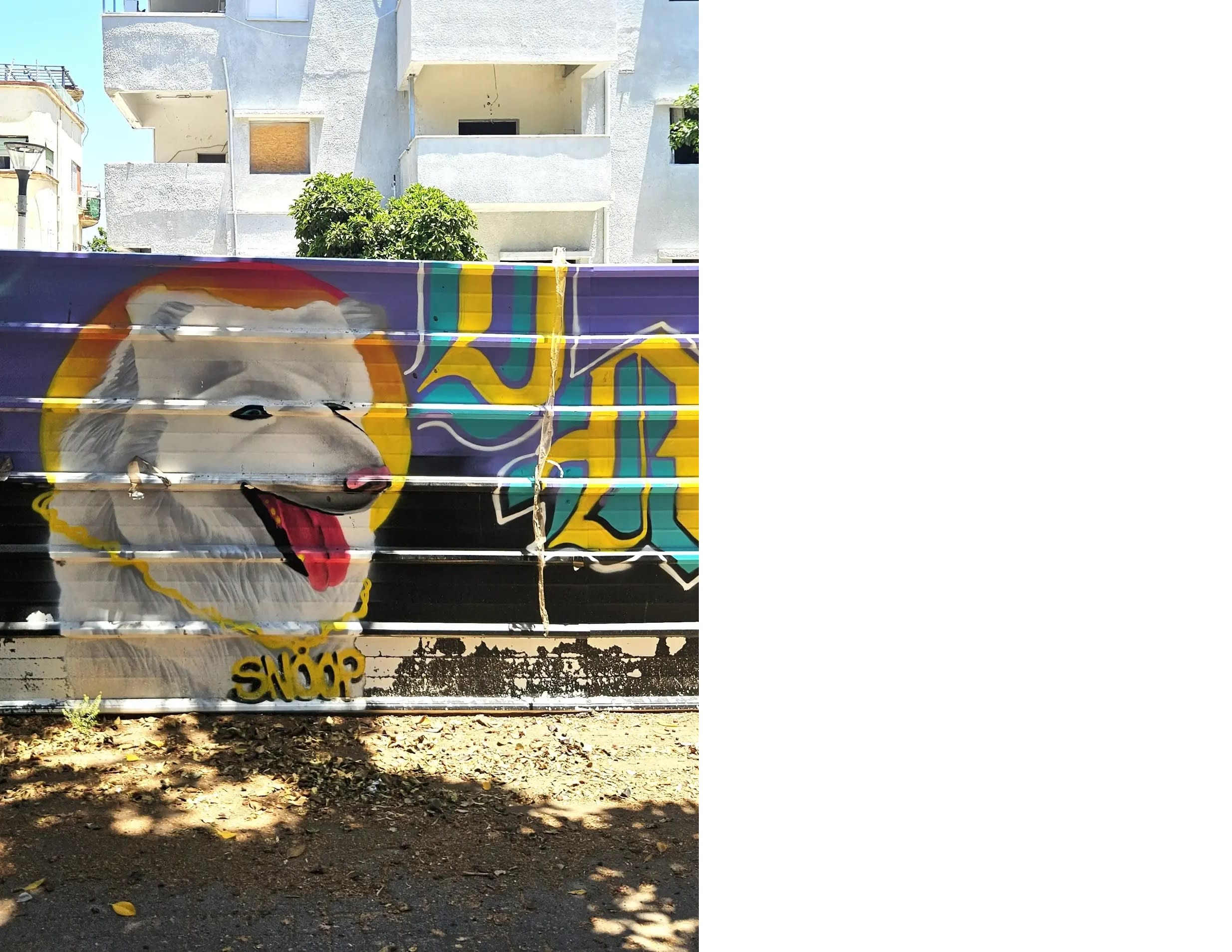 Graffiti in front of Binyamin Garden