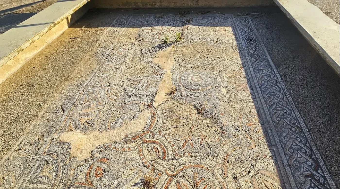 The Tel Shikmona mosaic