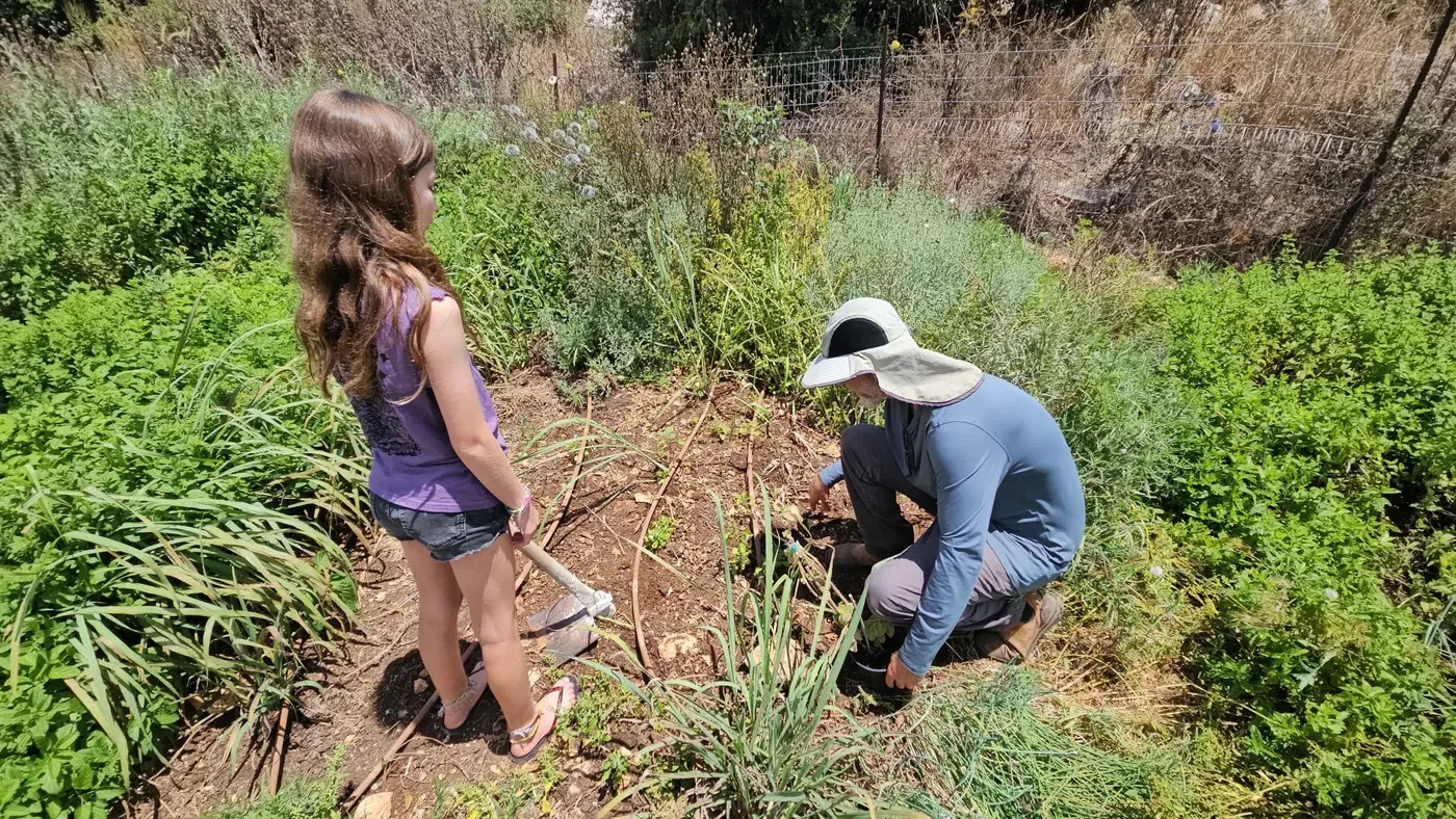 The tour lasts about two hours and includes several stations: Sowing, planting, harvesting, summer versus winter crops, and an introduction to working on an organic farm. Laga'at Basade