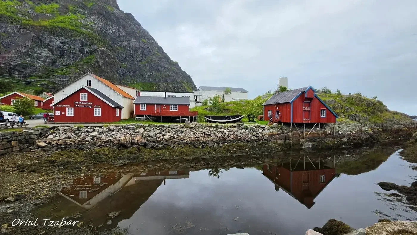 Reine