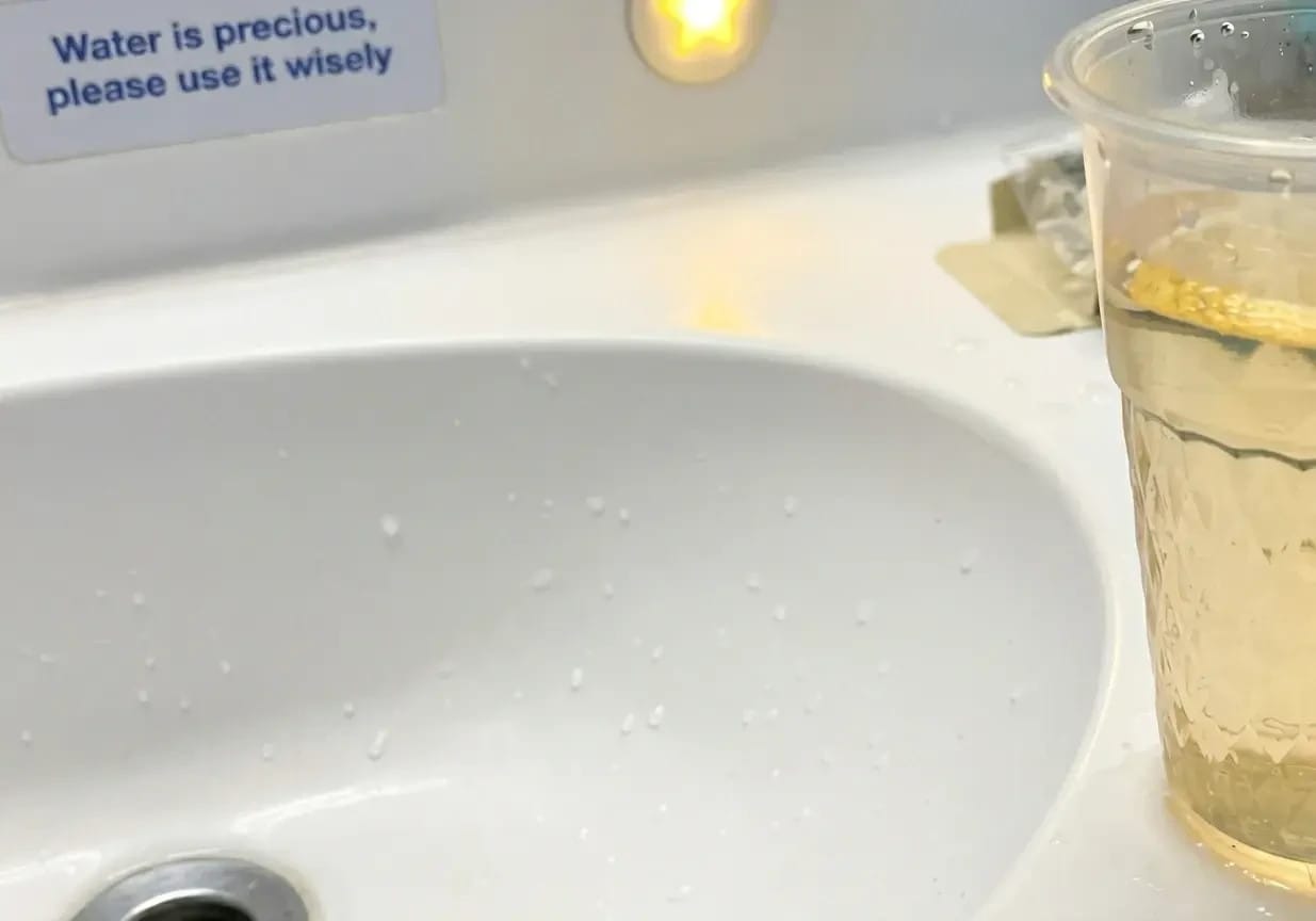 On some days of the cruise, yellow water flowed from the taps. A sink in one of the ship's cabins