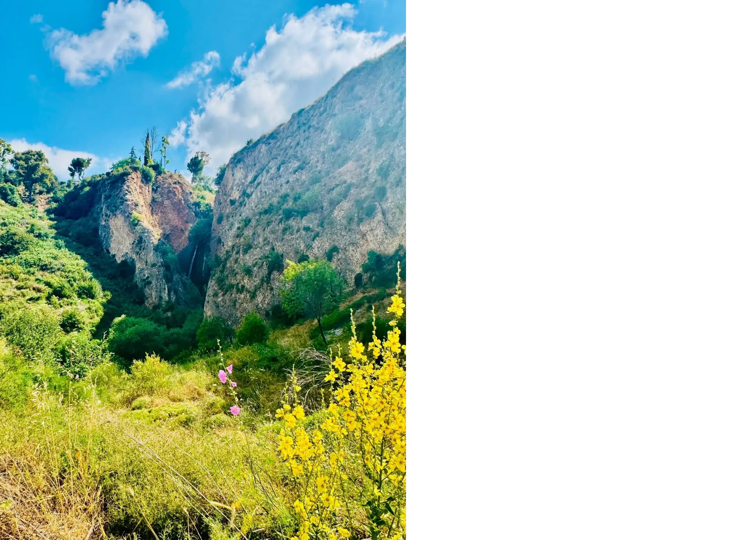 View from the trail, Iyon Stream Nature Reserve