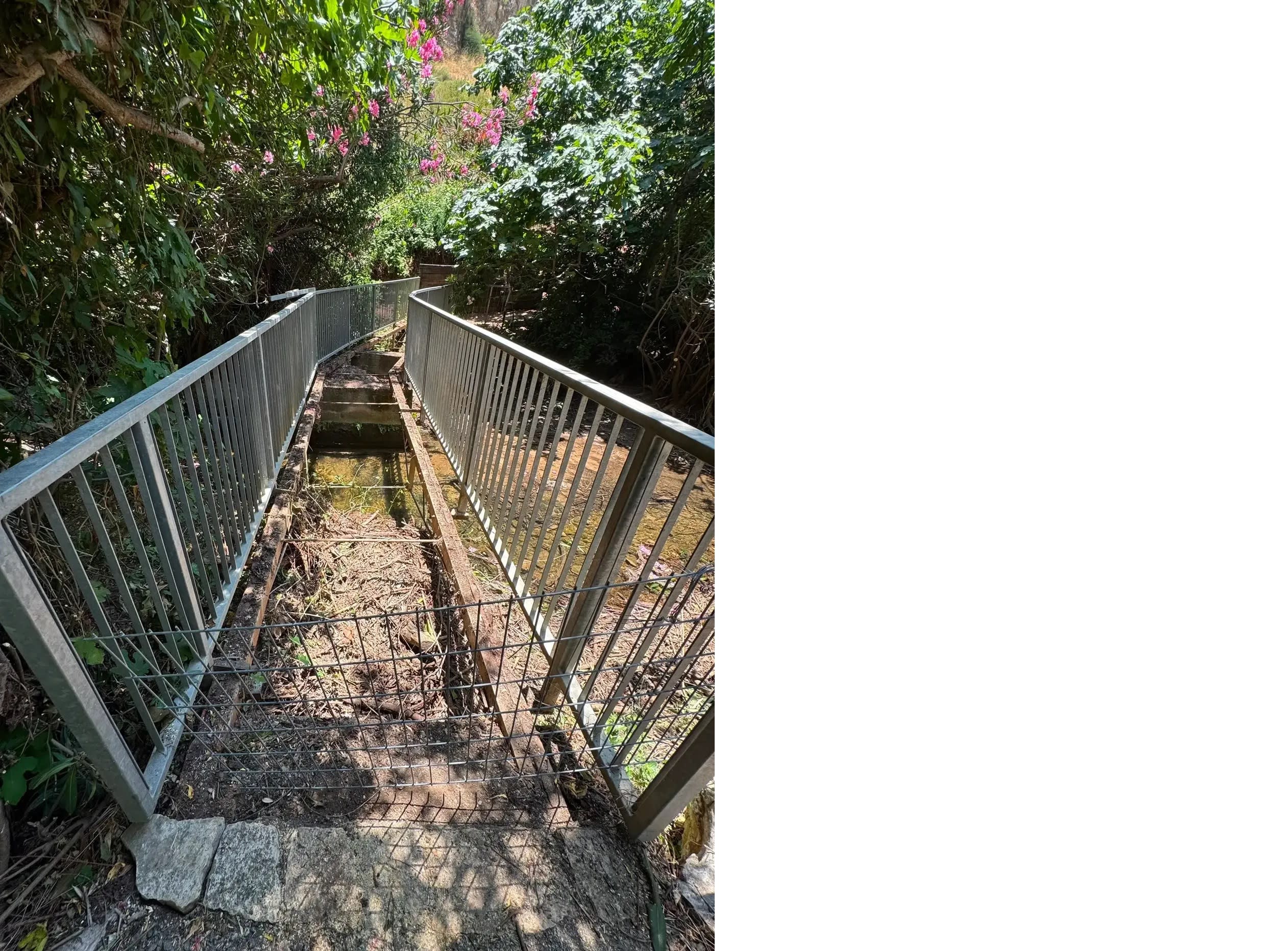 The Iyon Stream trail before restoration