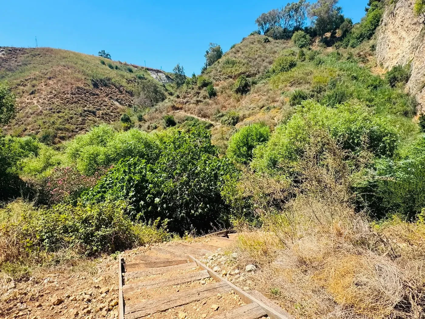The site staff rallied to restore the trail