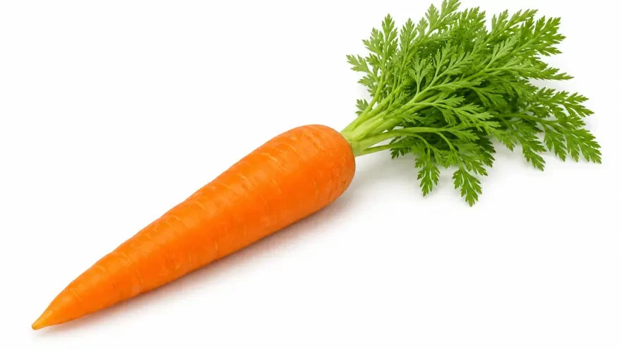 A carrot