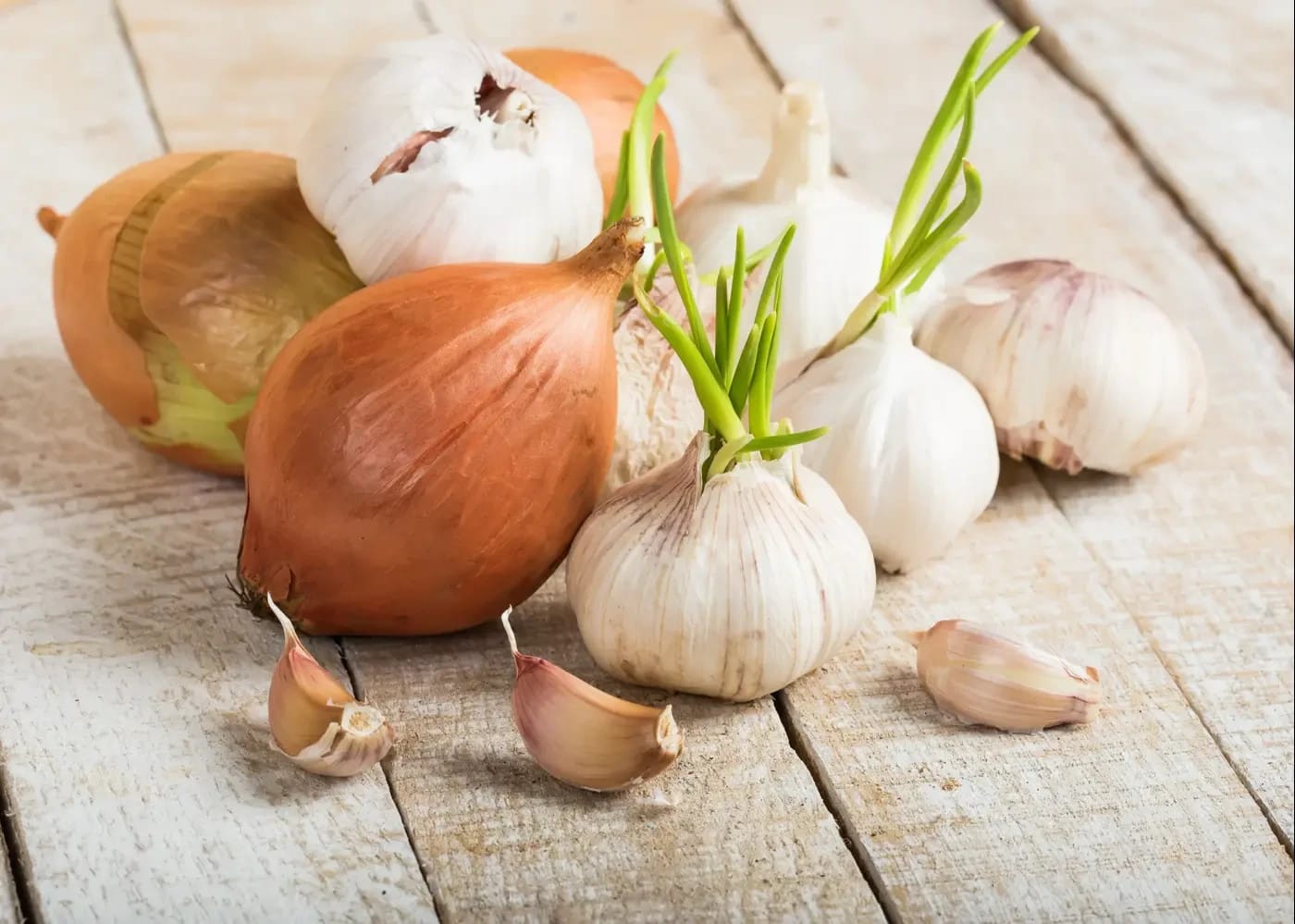 An onion has sugar like a carrot or strawberries.