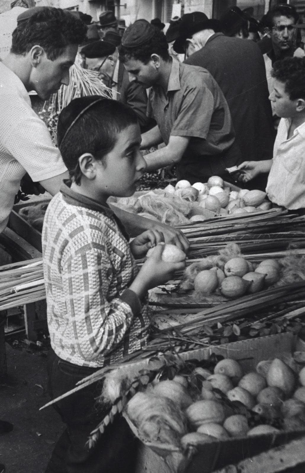 A young boy examines an etrog at Jerusalem’s Four Species market in 1967.