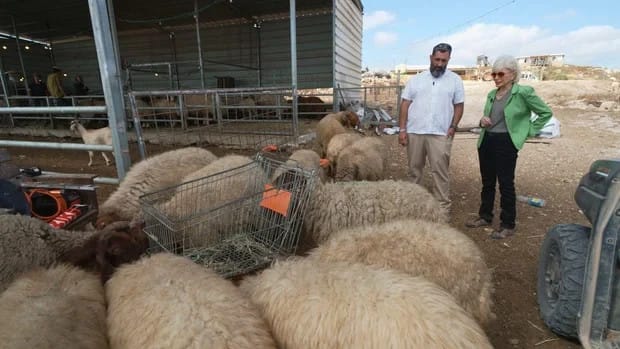 CBS News's '60 Minutes' Lesley Stahl speaks to Mordehai Minster at a sheep farm in the West Bank, broadcast October 11, 2026.