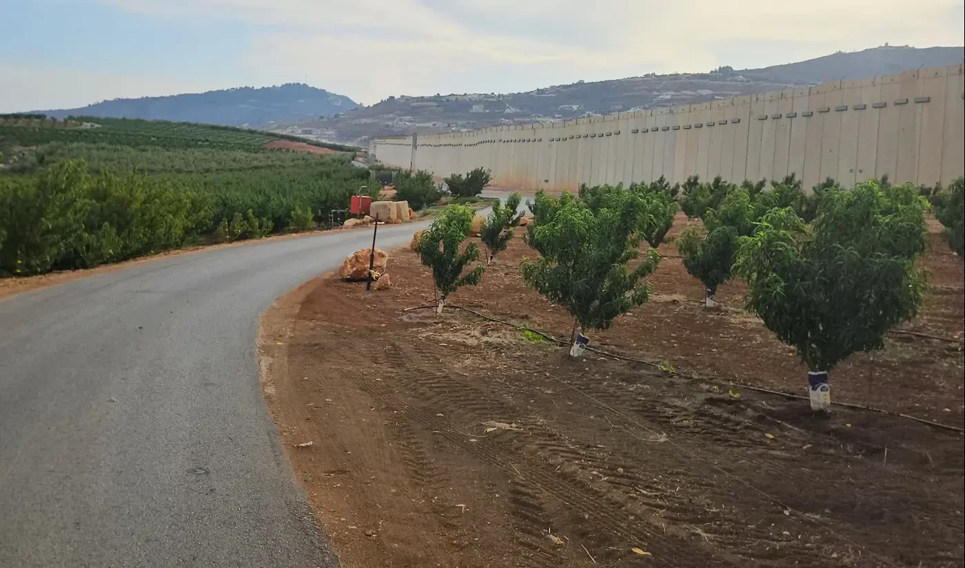 The geopolitical-agricultural tour passes through here. Metula’s orchards along the border with Lebanon.