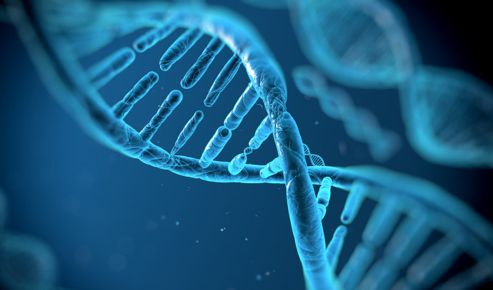 Navigating genetic risk and parenthood - opinion - Vimarsana News