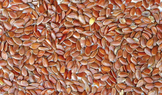 Flaxseed for improving nutrient absorption